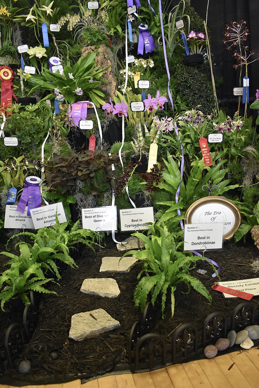 The event featured orchid displays.