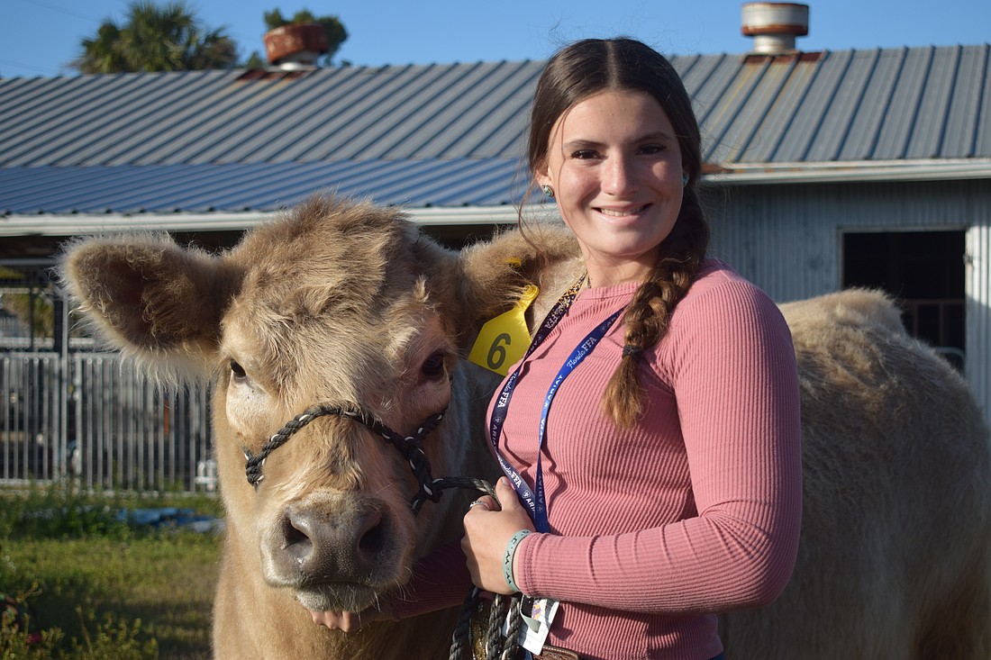 Braden River High student Dallace Ryan poses with her steer, Sterling, during after-school work at Braden River High School ahead of the Manatee County Fair.