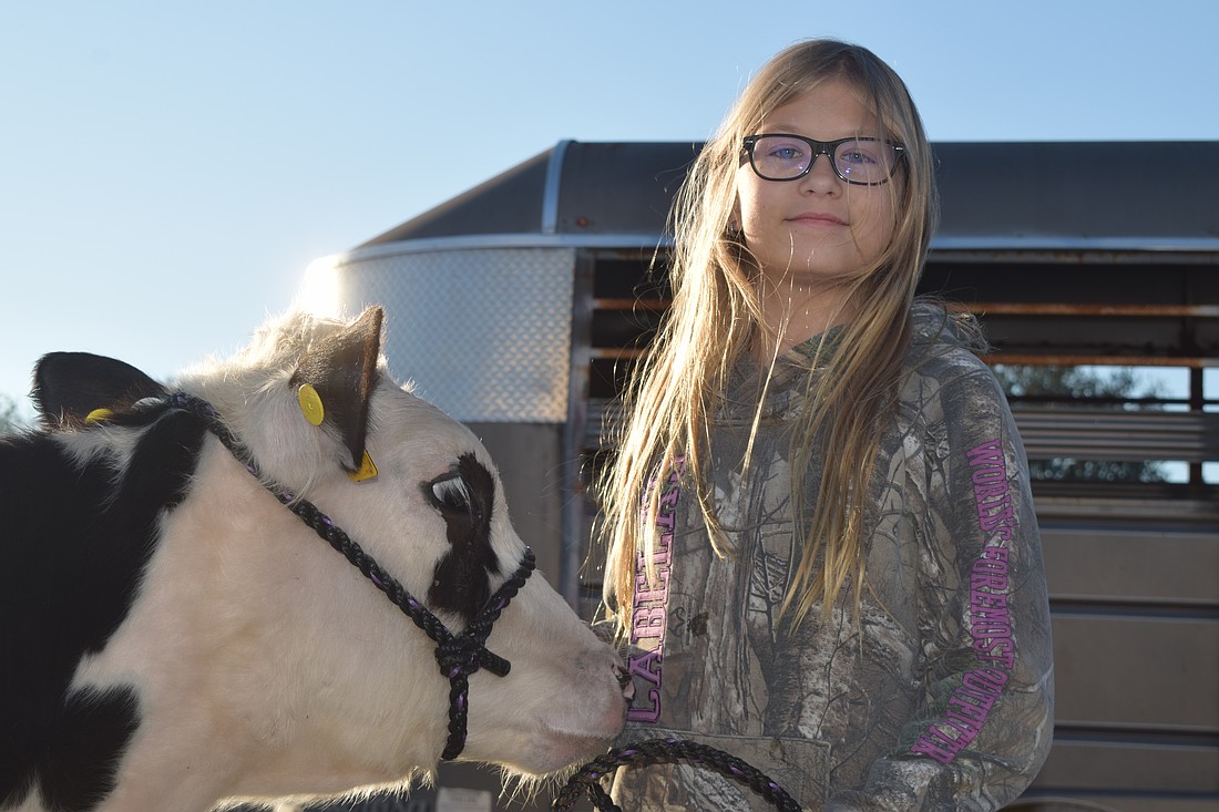 Nolan Middle School student Danni Hammond poses with her cow ahead of the Manatee County Fair.