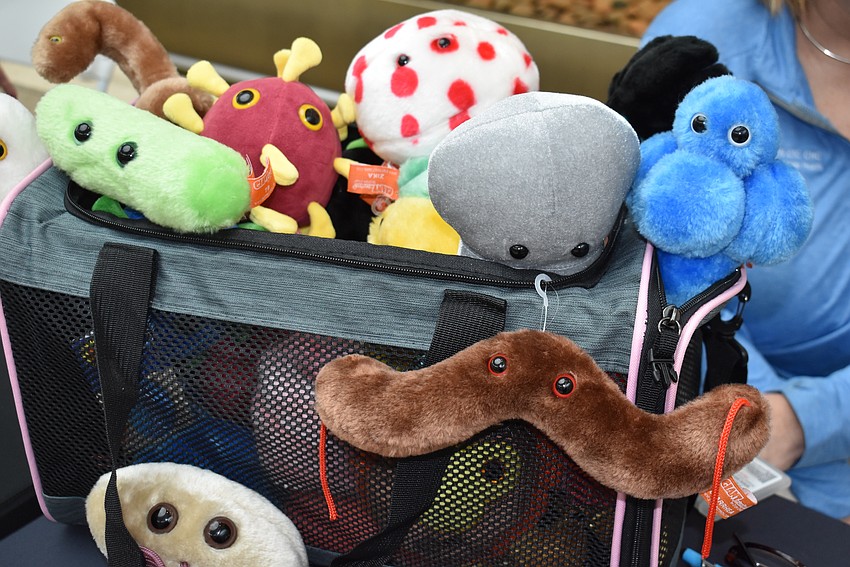 These plush toys resemble what infectious diseases look like under a microscope.