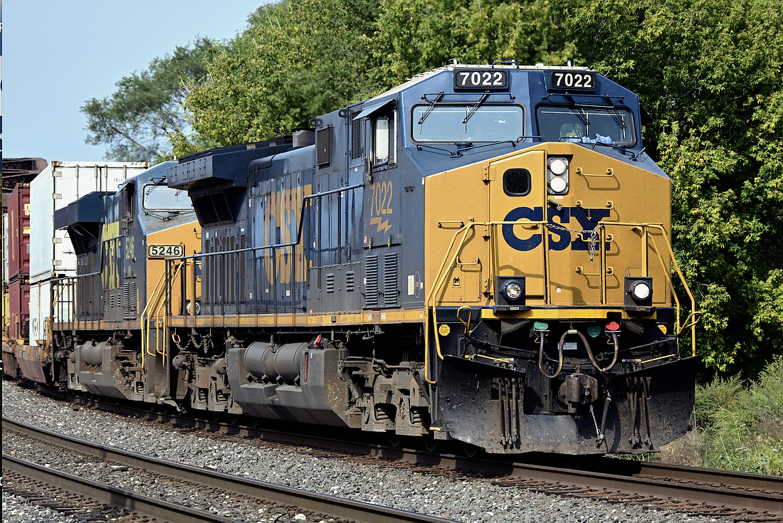 According to Jefferies analyst Stephanie Moore, CSX is a good play for investors seeking to profit from freight market growth as a domestic-focused railroad.