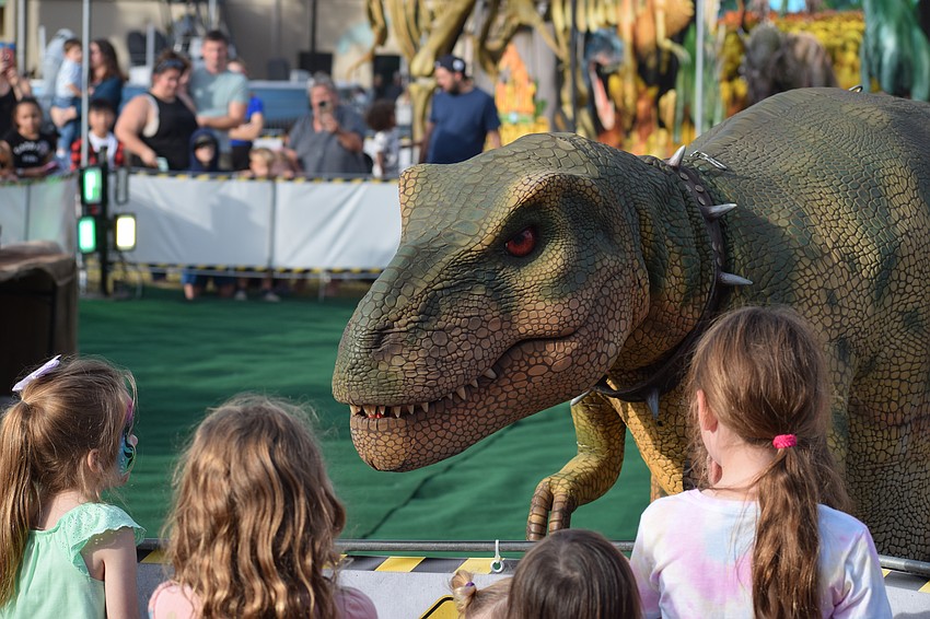 A T-Rex stares down the crowd after being introduced at the Jurassic Kingdom Dinosaur Show at the Manatee County Fair Saturday.