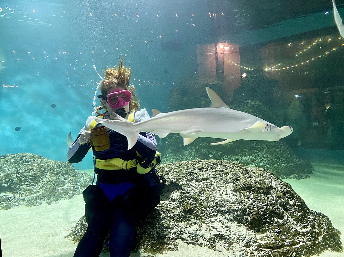 Divers cheerily waved their steins in greeting to attendees at Saturday's Sharktoberfest.
