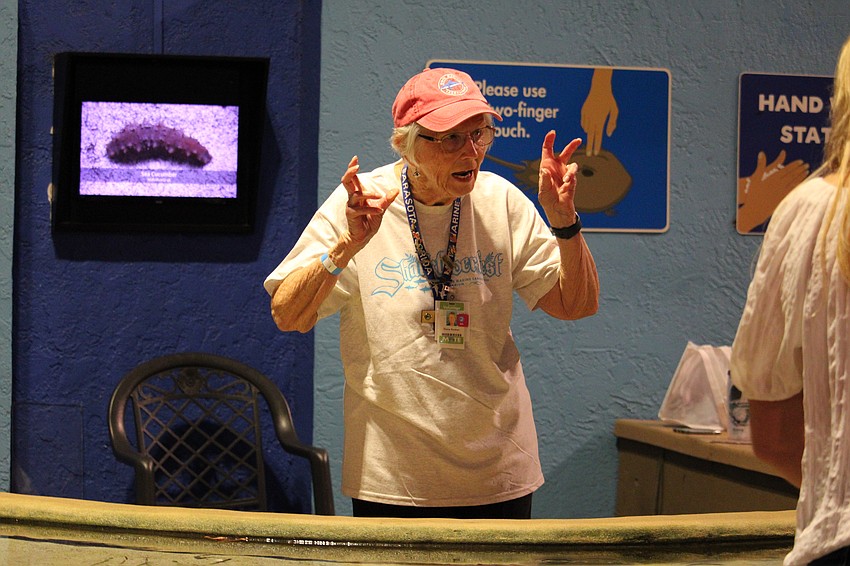 Mote volunteer Diane Kestner shares stories while manning the touch tank.