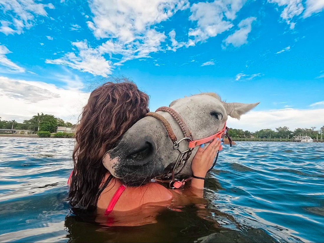 Cloud, a missing 16-year-old grey mare, is known as a snuggler.