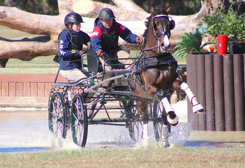 Multiple U.S. national champion driver Raymond Helmuth of Cambridge, Iowa was one of the top competitors at the Combined Driving at TerraNova event Saturday in Myakka City.