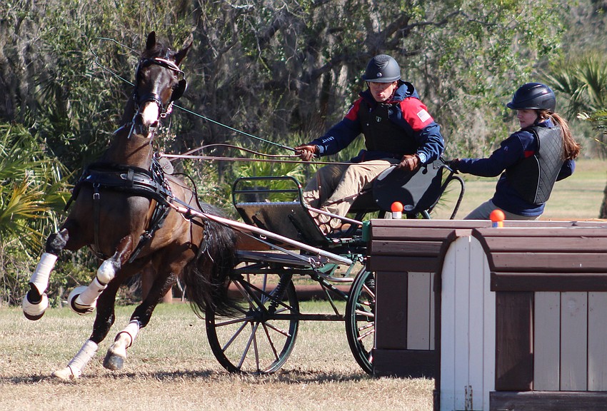 Driver Raymond Helmuth of Cambridge, Iowa, takes a sharp turn in a hazard during the marathon portion of the Combined Driving at TerraNova event in Myakka City Saturday.