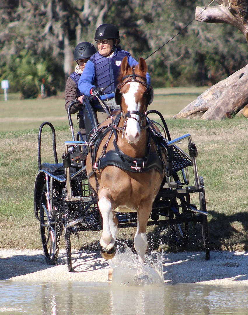 Driver Allison Stroud of Kennett Square, Pennsylvania, competes in Combined Driving at TerraNova on Saturday.