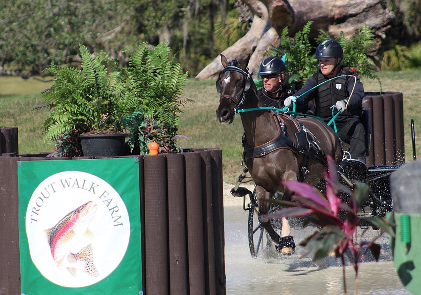 Driver Sarah Reitz, of Honeoye Falls, New York, heads right at an obstacle before making a sharp turn at the Combined Driving at TerraNova event Saturday in Myakka City.