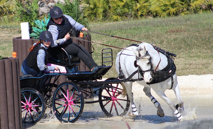Australia's Janelle Marshall makes her way through a hazard during the Combined Driving at TerraNova event Saturday in Myakka City.