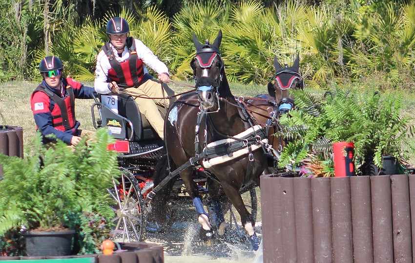 Jacob Arnold, a five-time FEI world champion, heads into a hazard at full speed Saturday during the Combined Driving at TerraNova event.