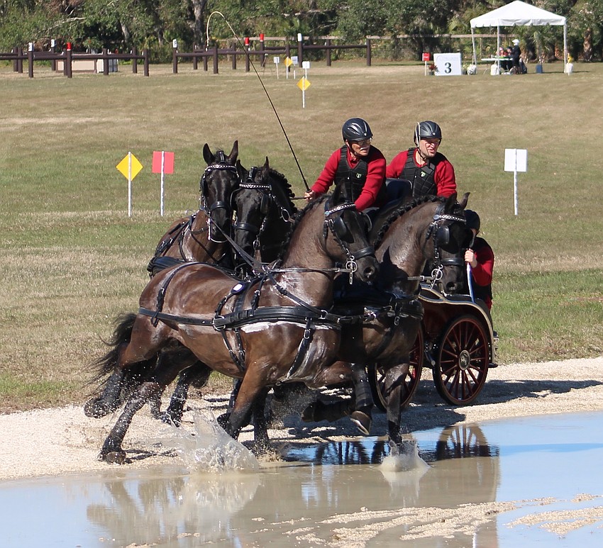 Canada's Gerben Steenbeek drives his four-horse team through the water hazard during the Combined Driving at TerraNova event Saturday.