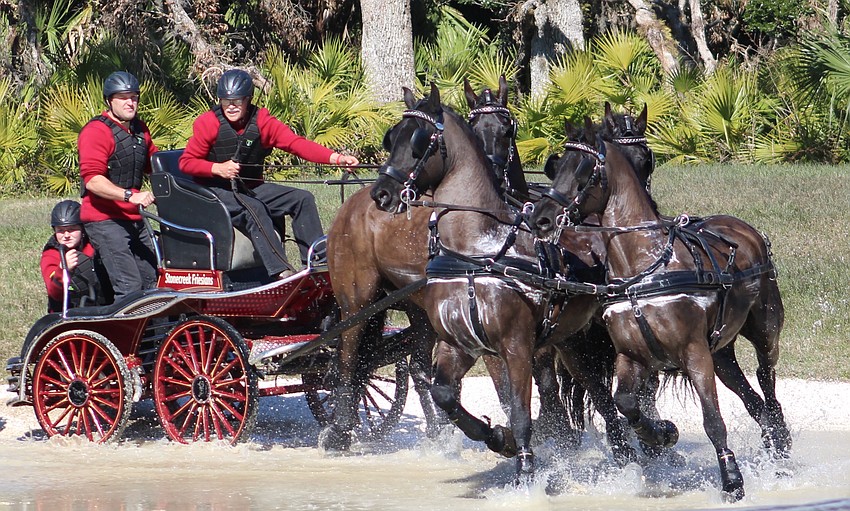 Gerben Steenbeek, of Canada, guides his four-horse team through the water hazard at TerraNova Saturday.