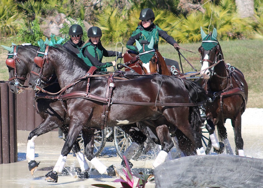 Tristan Aldrich (backstep) and Dee Aldrich (navigator) hold on as Lakewood Ranch's Misdee Wrigley Miller drives her team through a tight turn during the Combined Driving at TerraNova event.