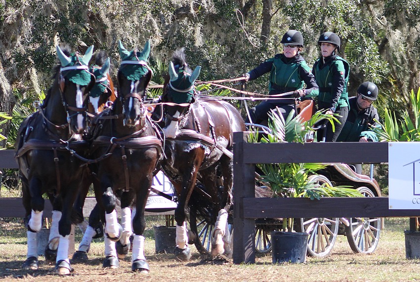 Misdee Wrigley Miller, navigator Dee Aldrich, and backstep Tristan Aldrich cut through a sharp hazard during the Combined Driving at TerraNova event Saturday in Myakka City.
