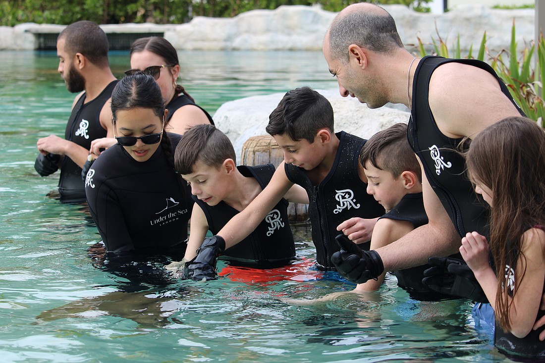 The Sutton family hand feeds the cownose rays at the St. Regis Longboat Key Resort's Under the Sea Lagoon.