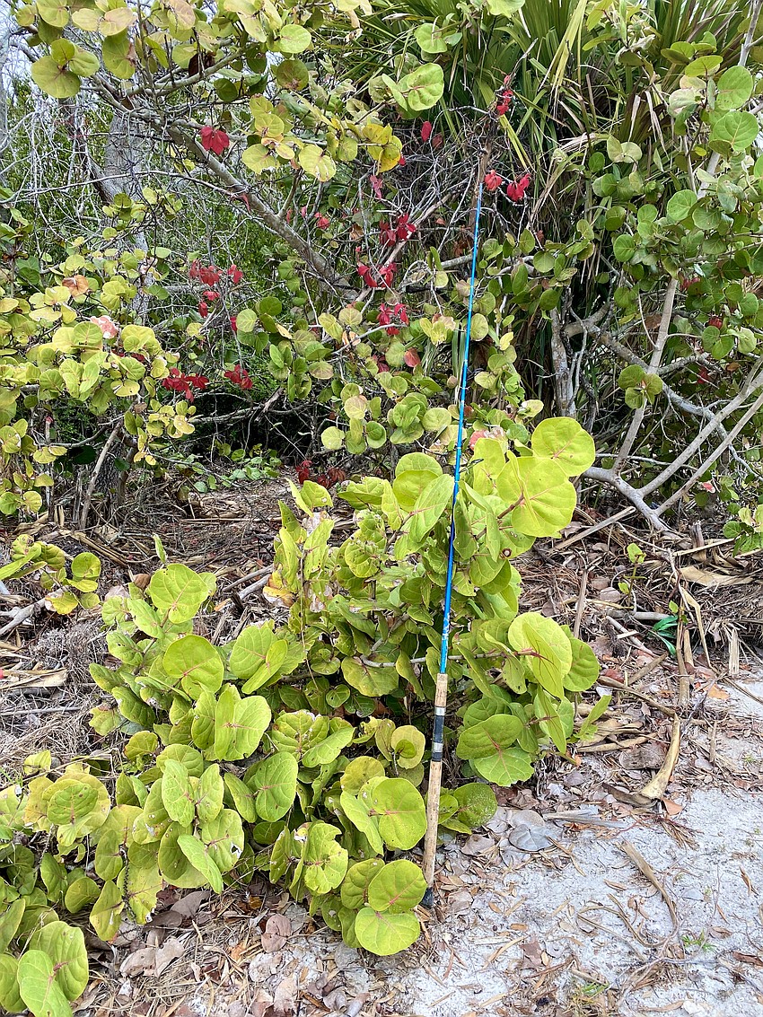 Interesting debris included a fishing pole.