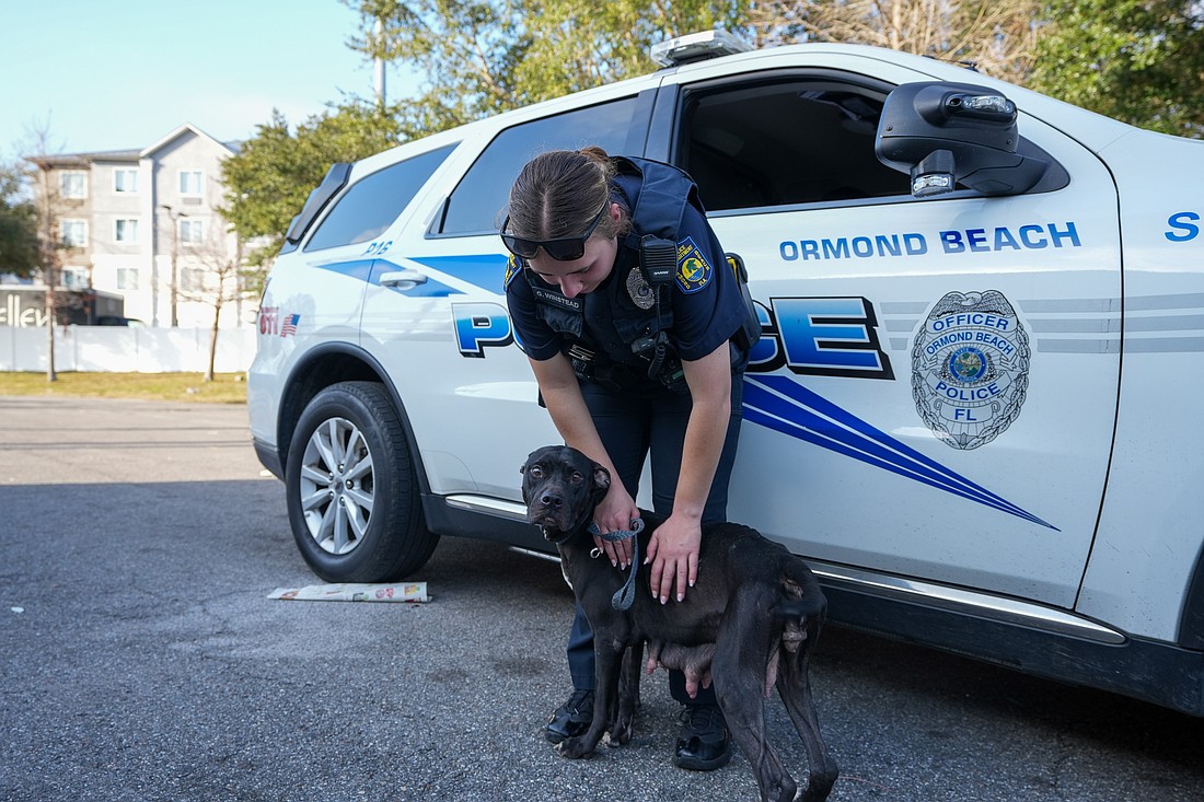 Ormond Beach Police Officer Gabby Winstead pets one of the rescued dogs. She and Officer Nick Mancuso were the first officers on the scene. Photo courtesy of Pauline Dulang/Ormond Beach Police Department