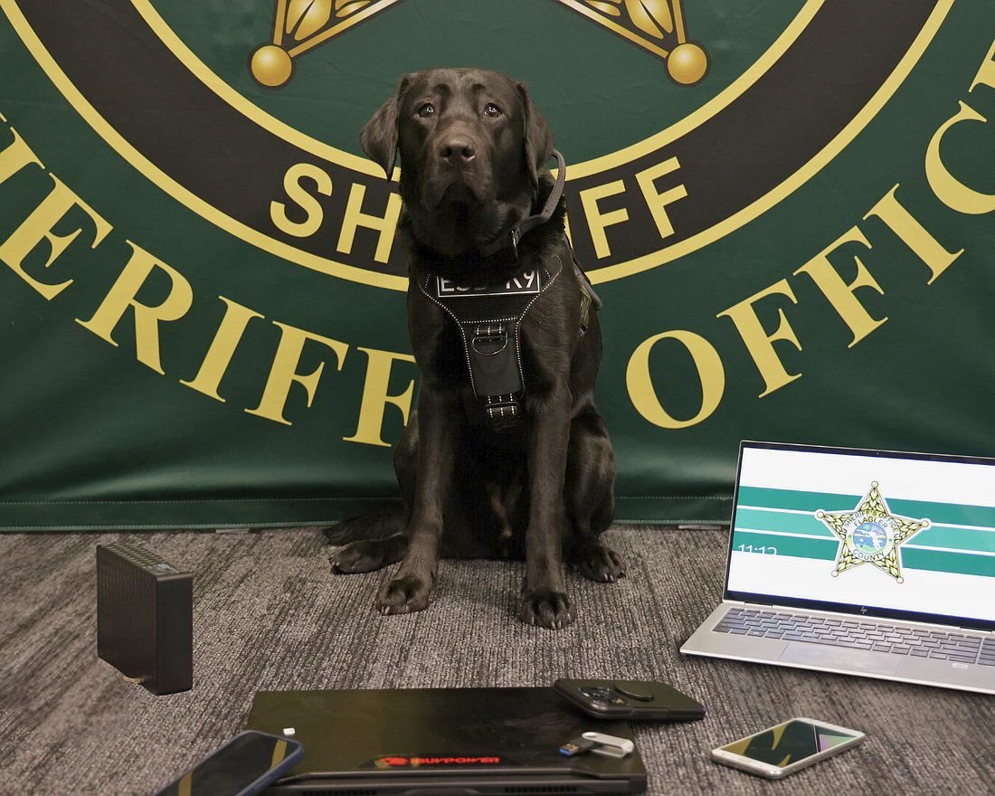 Birdie is the FCSO's first electronic storage detection K-9. Courtesy photo