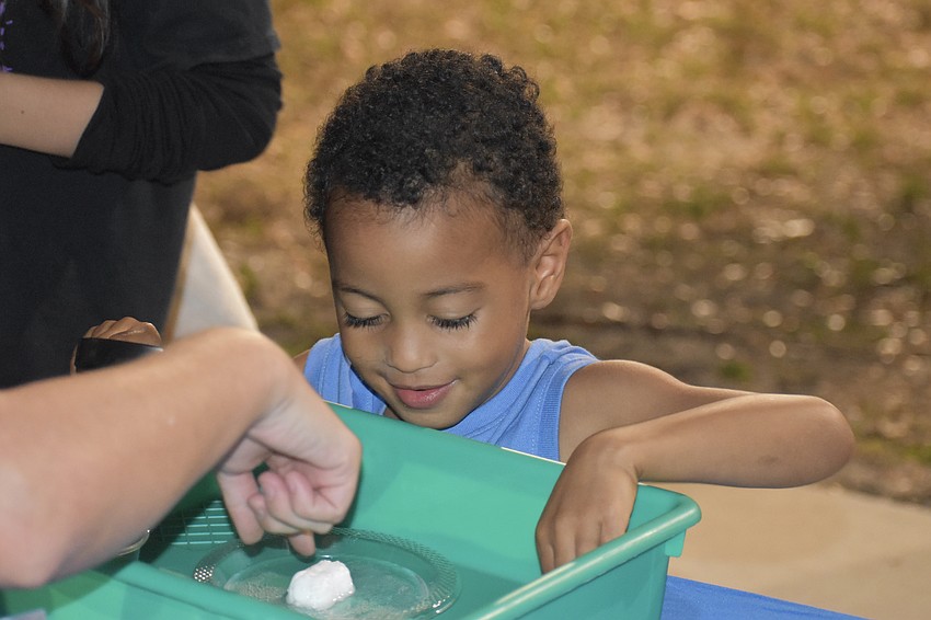 Pre-K student Elijah Adamo experiments with baking soda and vinegar.