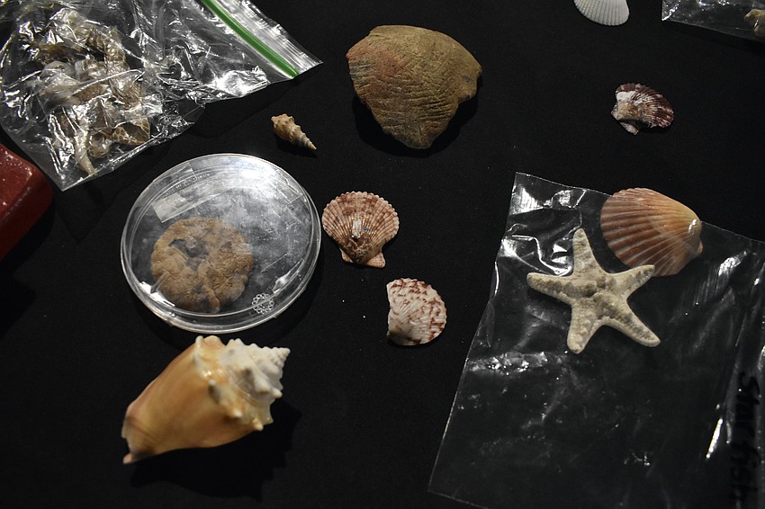 Shells and other objects cover one of the event tables.