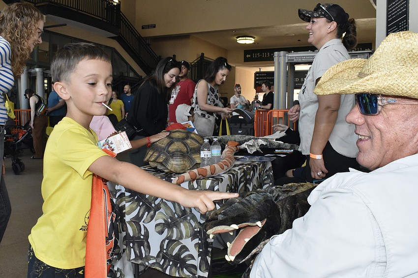 Liam Amaya, 7, meets the alligator puppet at the Big Cat Habitat table, staffed by Sasha and 