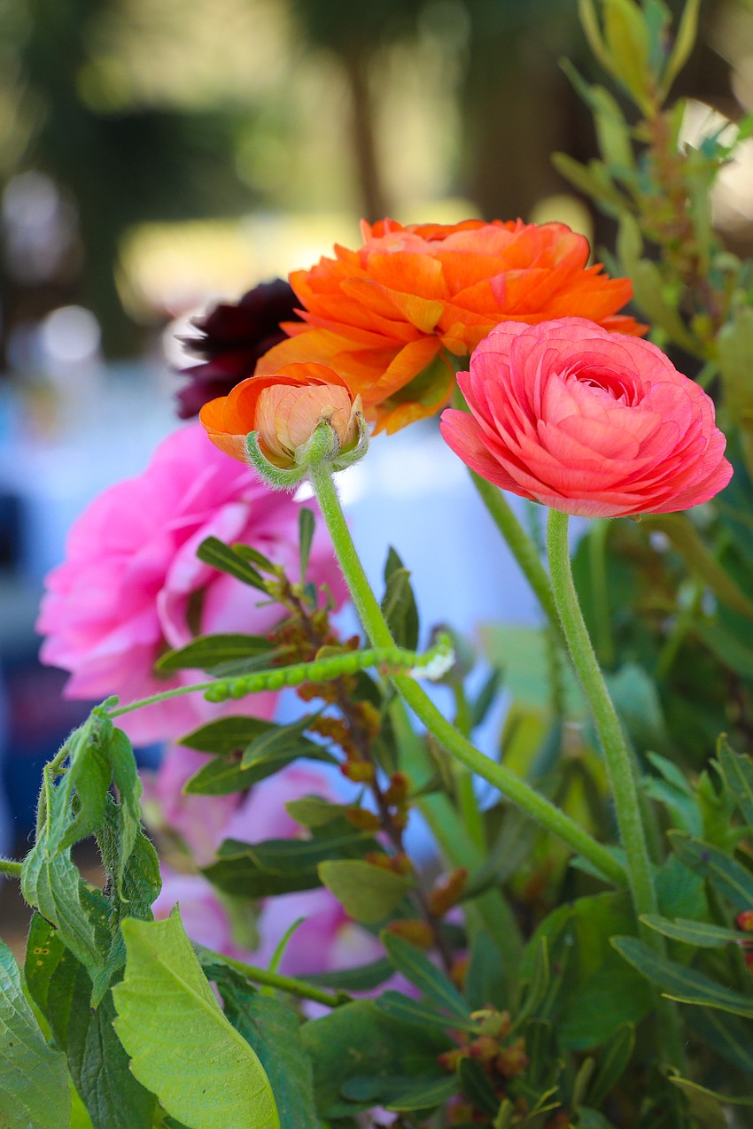 Big Waters Land Trust held its annual luncheon at the Walton Ranch on Feb. 22.