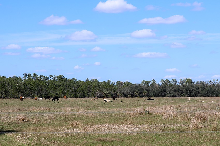With the help of Big Waters Land Trust the Walton Family successfully protected their Walton Ranch.