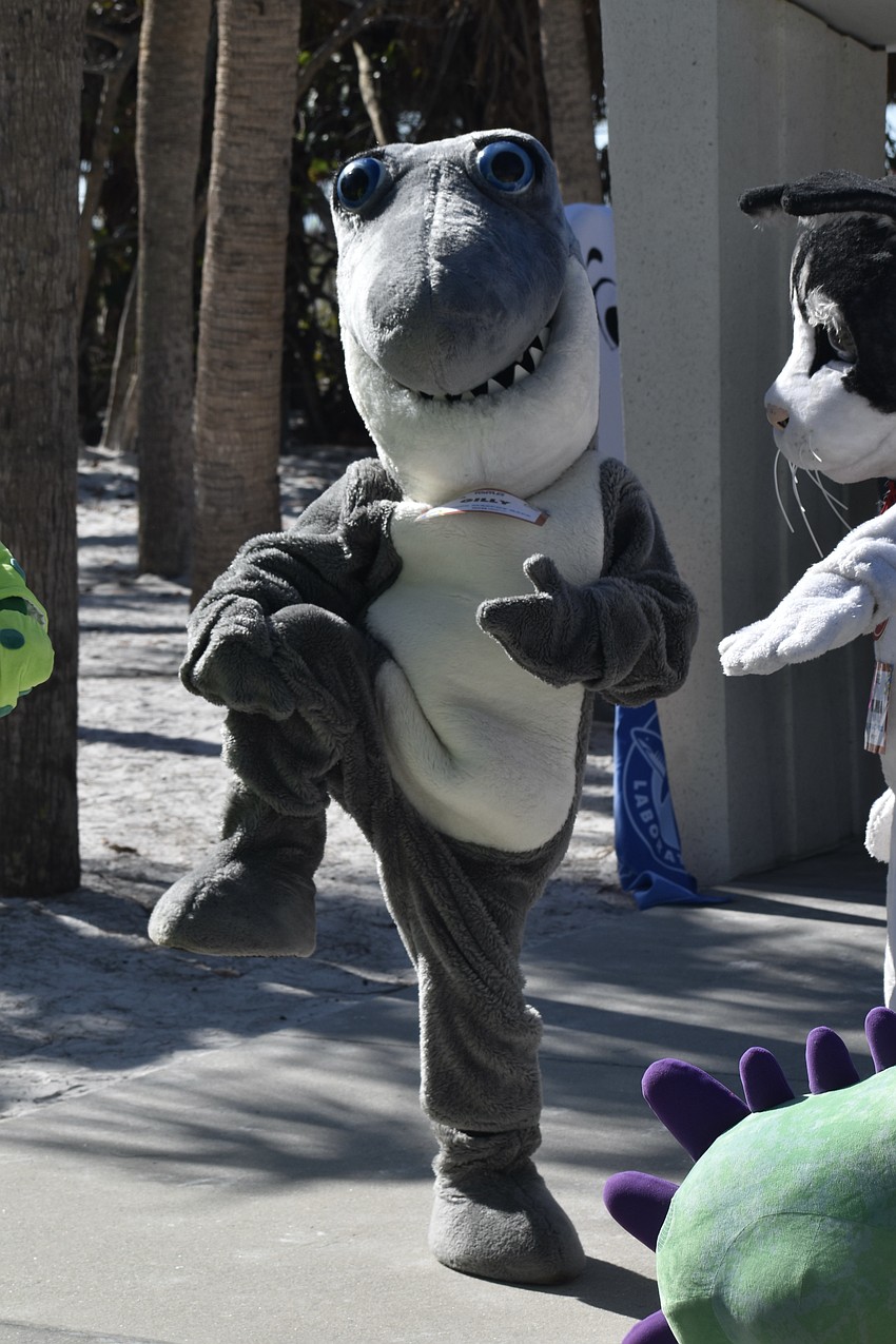 Gilly, from Mote Marine Laboratory & Aquarium, gets some stretches in prior to the run.