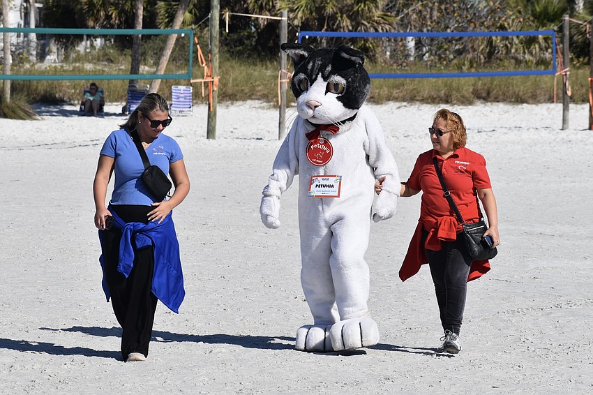 Georgia Sanacore walks with Cat Depot's mascot Petunia, and Dilia Kloeckner.