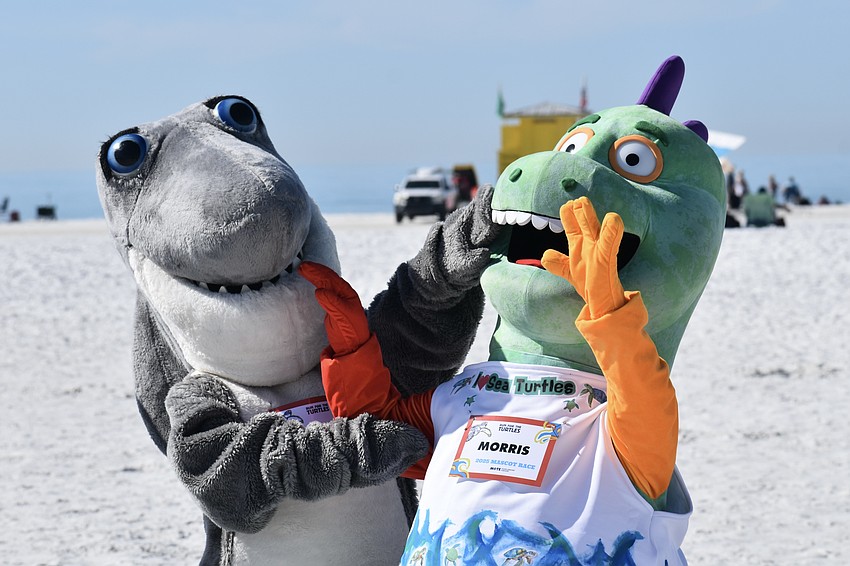 Gilly from Mote Marine Laboratory & Aquarium, and Morris the Explorasaurus, from Great Explorations Children's Museum, get in a playful mood.