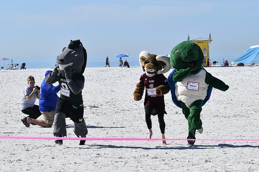 The Mustang from Lakewood Ranch High School, the Ram from Riverview High School, and Shelley from Mote Marine Laboratory & Aquarium, head to the finish line.