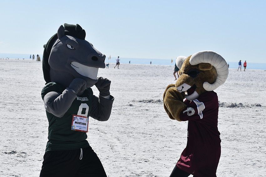 The Mustang of Lakewood Ranch High School and the Ram of Riverview High School face off.