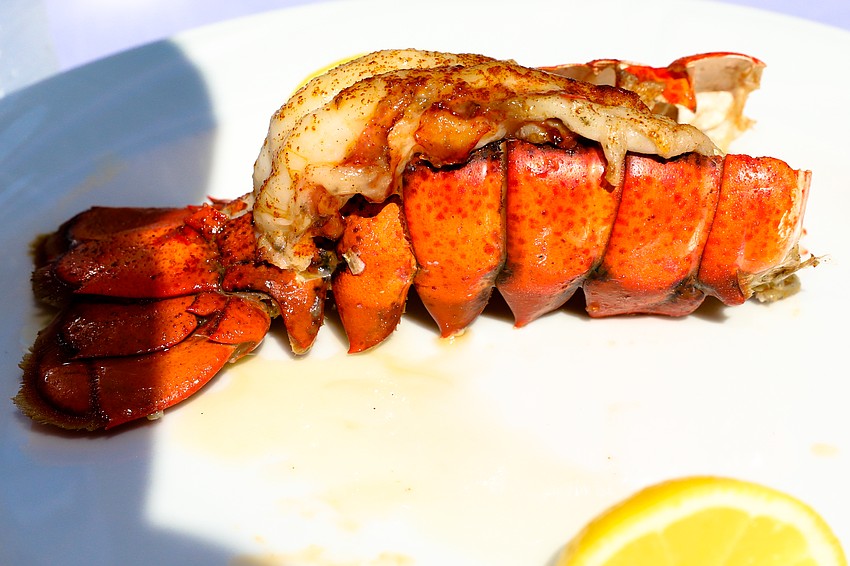 Pier 22 and The Grove serve up fresh lobster at USF's 30th annual Brunch on the Bay.