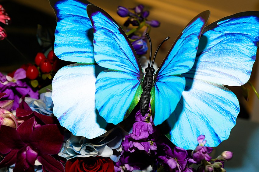 Tidewell Foundation held its 16th Annual Signature Luncheon on March 7 at the Ritz-Carlton, Sarasota.