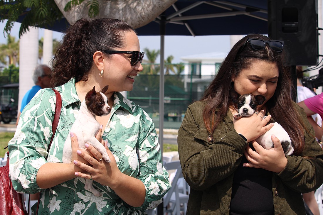 Liliana Torres and Jennifer Hache cuddle a pair of the 2-month-old boston terrier puppies that Nate's Honor Animal Rescue brought in its puppy wagon to the Bird Key dog parade.