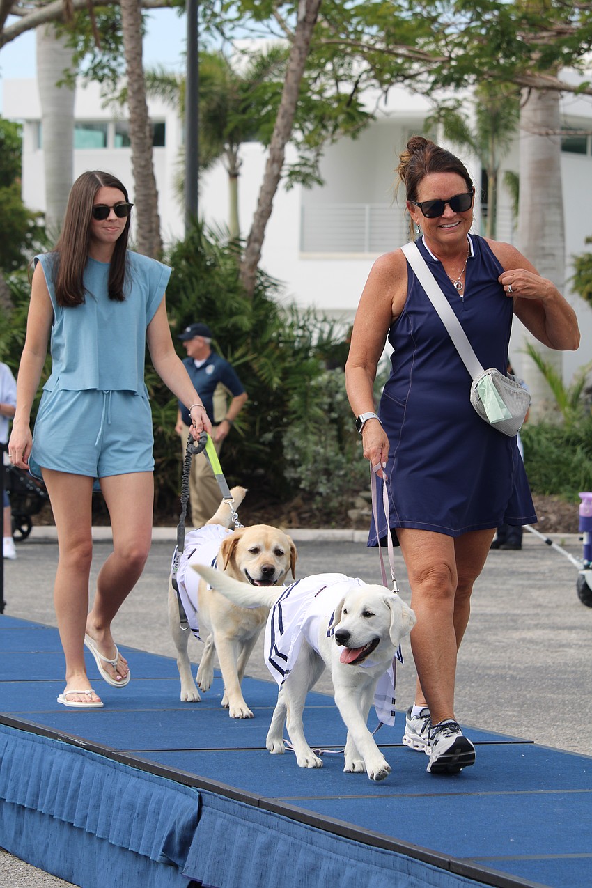 Harper and Sunny the English labrador retrievers bring their rambunctious energy with the Bisplinghoffs.