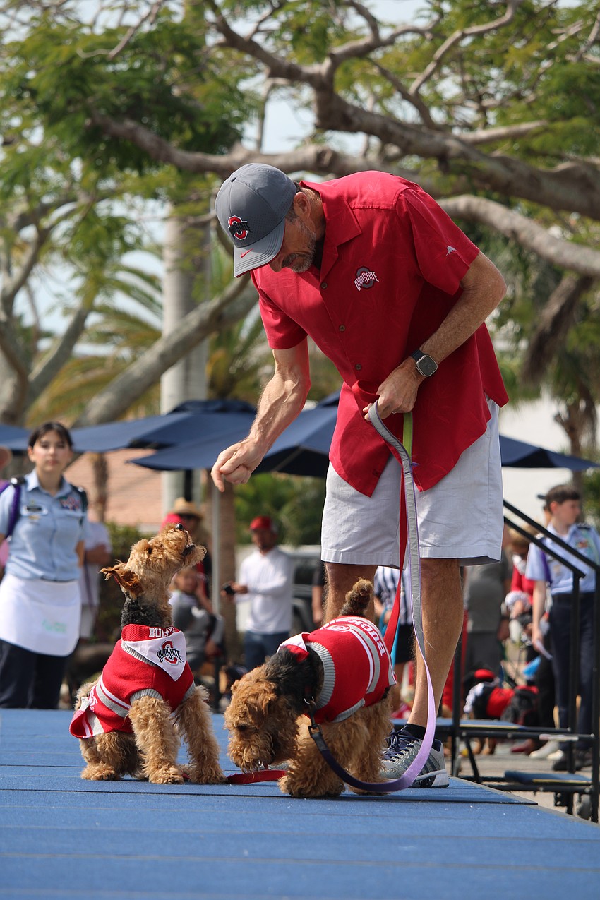Welsh terriers Merlin and Pippa cause double the trouble.
