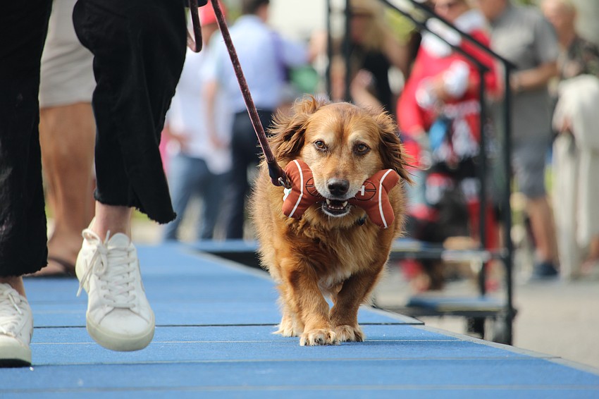 Peyton brings some game to the stage.
