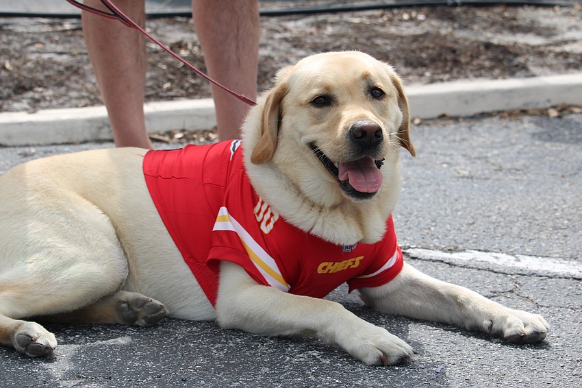 Brody takes a well-earned break after earning the best trick title.