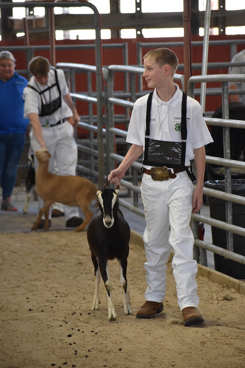 Colton Kuykendall of the intermediate competition walks with Confection.