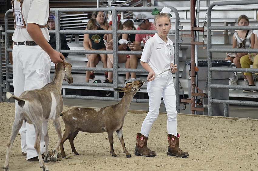 Adeline Earl, of the junior level, walks Karat.