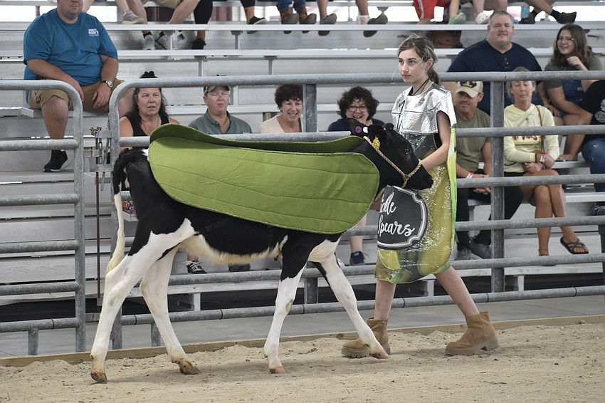 Madison King, 13, and her cow Pickles, make their way around the arena during the costume contest.