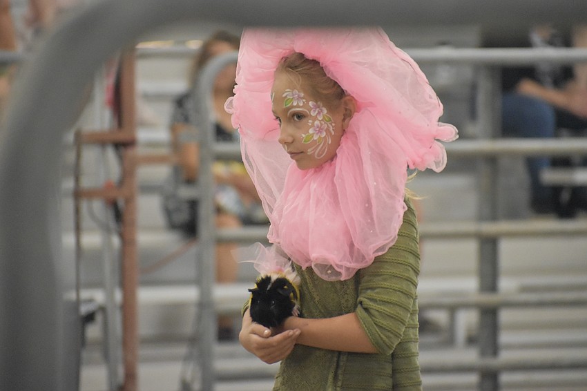 Second grader Ava O'Mahony walks with her guinea pig Lock during the costume contest.