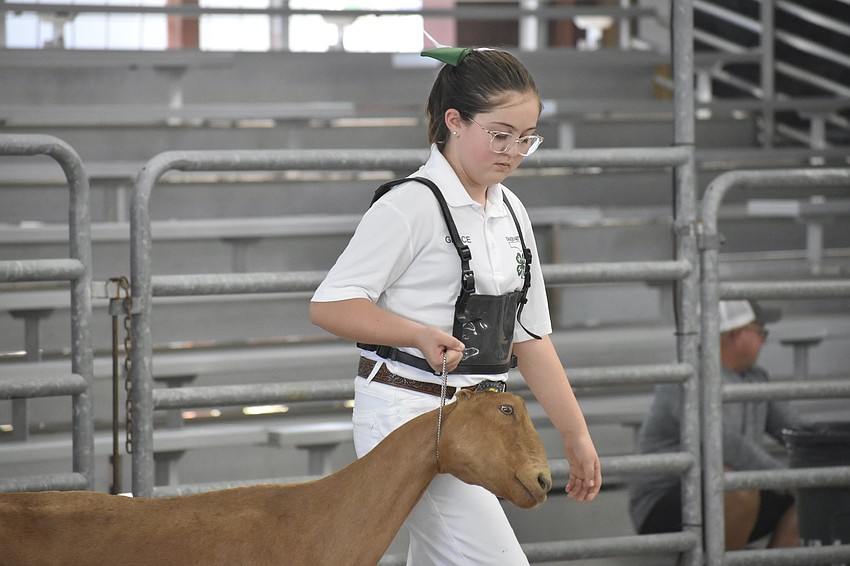 Grace Welden of the junior level walks with Paddy Whack.