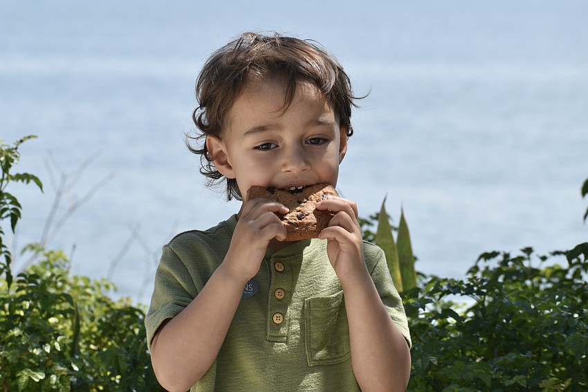 Noa Seidell, 3, enjoys a chocolate chip cookie.