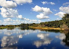 Government protections remain important in keeping the Myakka River healthy and pristine.