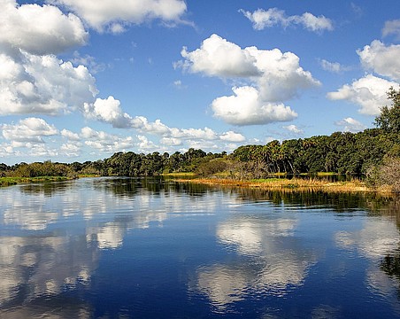 Government protections remain important in keeping the Myakka River healthy and pristine.