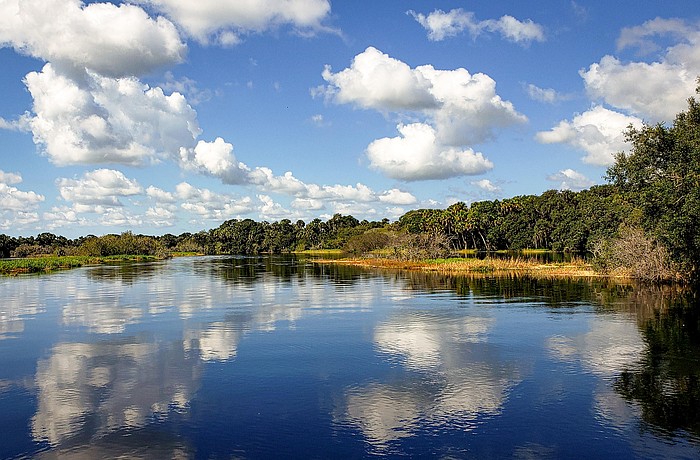 Government protections remain important in keeping the Myakka River healthy and pristine.