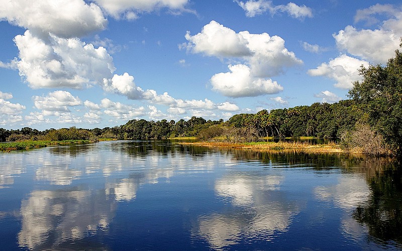 Government protections remain important in keeping the Myakka River healthy and pristine.